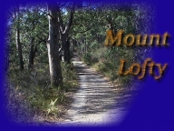 A footbridge at Waterfall Gully